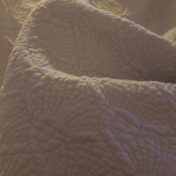 Meet your Posher, Dorothy - Picture 1 of 1